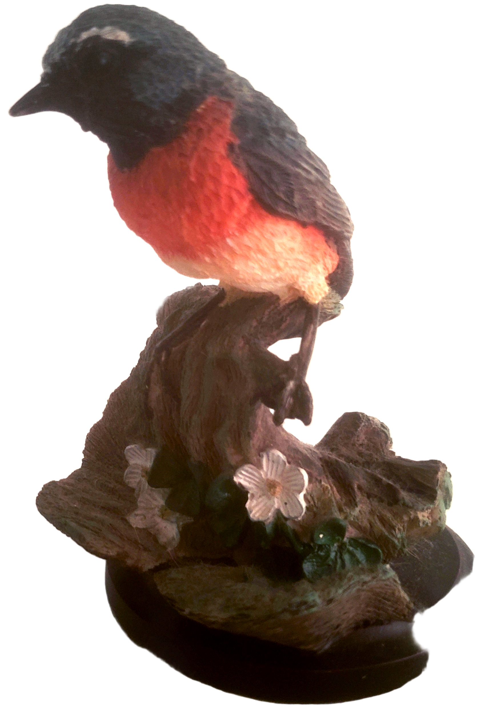 Redstart